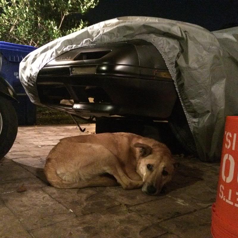 Name: APR-build01.jpg
Views: 366
Size: 84.5 KB