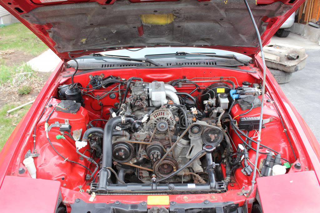 Name: IMG_5623_zpsc80b54d5.jpg
Views: 126
Size: 134.2 KB