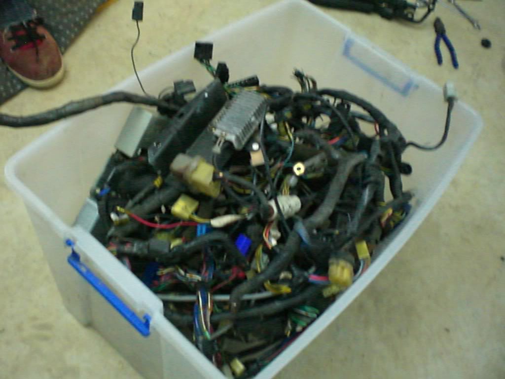 Name: CIMG0032-1.jpg
Views: 1016
Size: 72.3 KB
