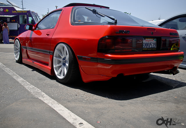 Name:  freshonstance3-1.jpg
Views: 1877
Size:  101.1 KB