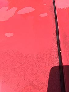 '87 turbo 2 been sitting for 22 years.-1558891814862.jpg