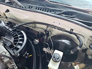 Project: let the great turd debate begin...-mqvxr4w.jpg