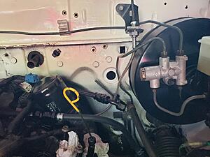 Project: let the great turd debate begin...-vmf7xhb.jpg