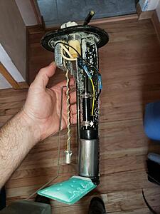 Project: let the great turd debate begin...-hdv0rpp.jpg