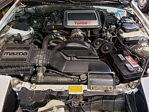 10AE 0623272 Restoration-daluler.jpg