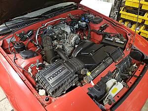 88 SE Restoration-wnujngk.jpg