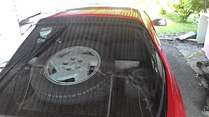 Keeping her looking mint - S4 T2-w8i9e2o.jpg