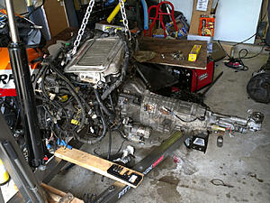 1989 Turbo II Build-tmfgi6i.jpg