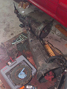 1989 Turbo II Build-drxldf8.jpg