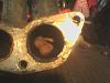 More DAMN RODENTS-dsc01909.jpg