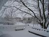 And I get a day off work-dsc00051-1.jpg