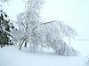 And I get a day off work-2006_0205image0001.jpg