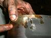 Teardown of my motor (MUST SEE)-42.jpg