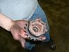 What is the bolt size for s4 center flywheel?-2006_0304image0014.jpg