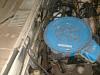 79&amp;81 pics!-79enginebay.jpg