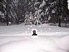 too cold for santa claus-storm06.jpg