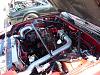 Spring Meet - May 17th, 2PM - Sherway Gardens-toronto-spring-meet-2.jpg