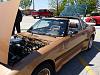 Spring Meet - May 17th, 2PM - Sherway Gardens-toronto-spring-meet-4.jpg