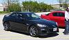 Spring Meet - May 17th, 2PM - Sherway Gardens-toronto-spring-meet-5.jpg