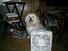 One Smart DOG!-089.jpg