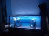 Fish tank, what do think?-dvc00031.2.jpg