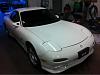 Freaknbigpanda's New Baby!-image-2080357729.jpg