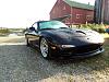 8th Annual Bruce County Meet - July 19, 20, 21-1002840_10151557918983297_291233933_n.jpg
