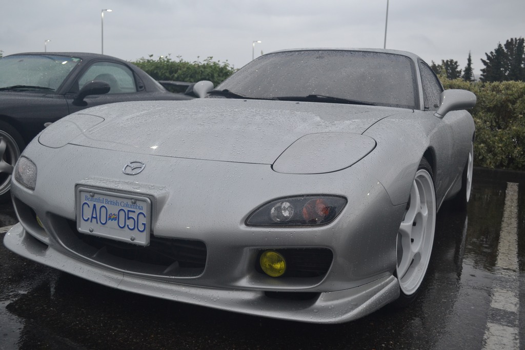 Name: DSC_0316.jpg
Views: 133
Size: 153.2 KB