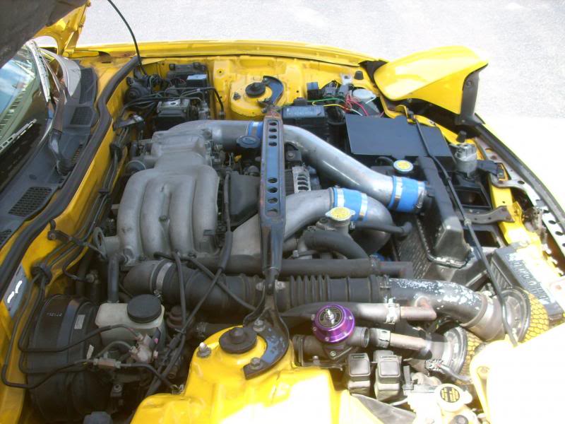 Name:  DSCI3246.jpg
Views: 1593
Size:  73.6 KB