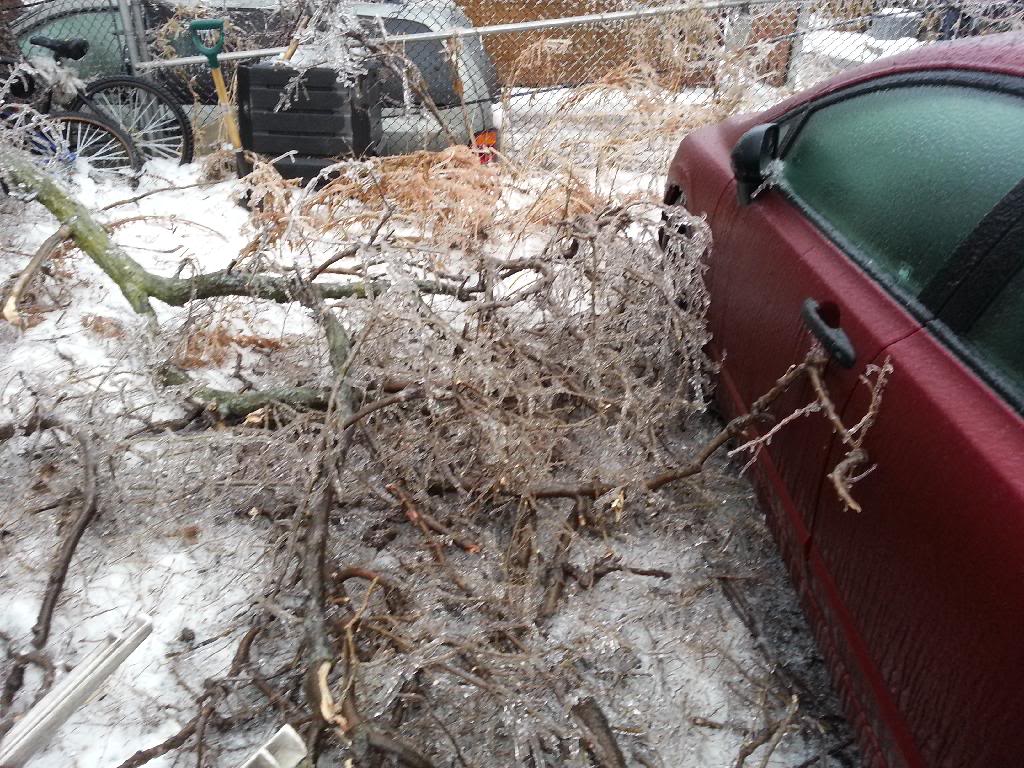Name: 20131222_123729_zpsdtpowqgm.jpg
Views: 26
Size: 191.7 KB