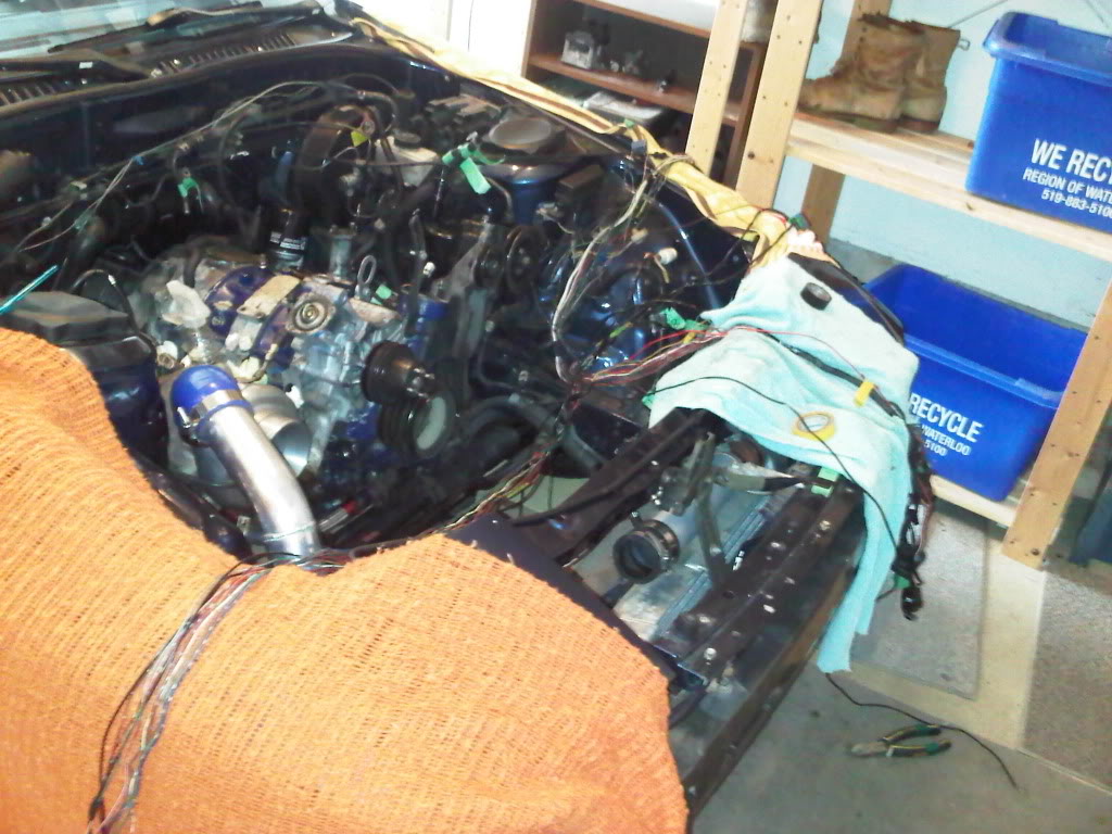 Name:  IMG00653-20121005-1628_zpsb68c8b0d.jpg
Views: 258
Size:  146.4 KB