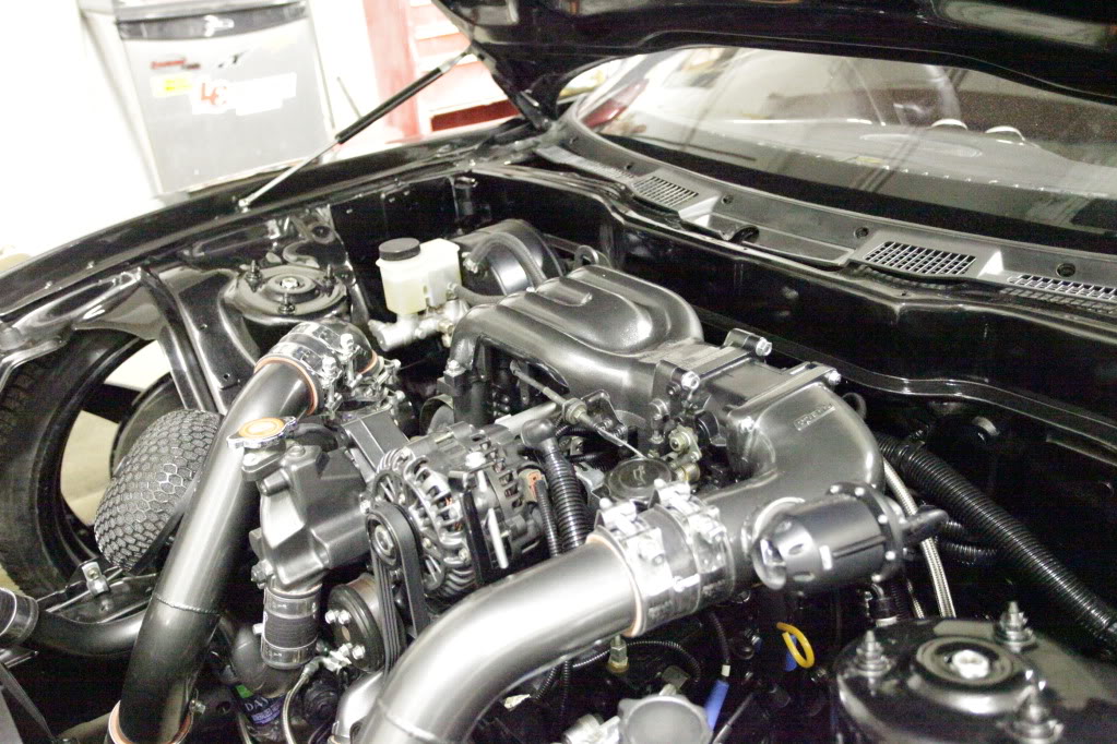 Name:  DGRR20115084.jpg
Views: 868
Size:  171.8 KB