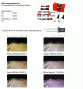 HIDs for our cars.-title2.gif