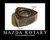 Experiences on the gap-rotary-dsms-reliable.jpg