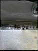 Anybody have some experience with This?-cam01116.jpeg