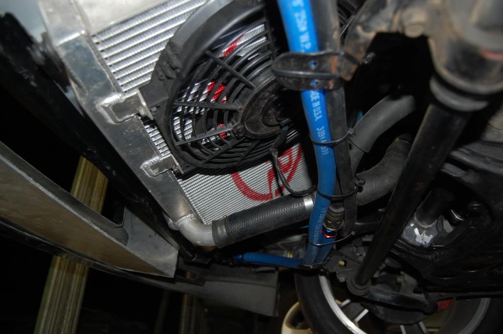 Name:  DSC_5282.jpg
Views: 1932
Size:  83.0 KB