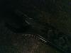 Bracket next to driveshaft-dsc_00005.jpg