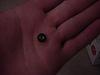 what are these plugs that came with my new rotor housings?-dsc00042.jpg