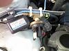 Bov lead-cid__0829071848.jpg