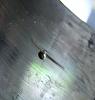 Tell me is this rotor good-_mg_0678.jpg