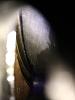 Tell me is this rotor good-_mg_0689.jpg