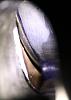 Tell me is this rotor good-_mg_0690.jpg