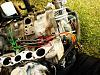 can some one plz tel me what this is-dsc00663.jpg