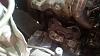Is this burnt oil or detonation-fb_img_1464563666533.jpg