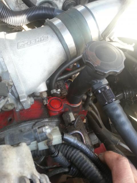 Name:  oilcats.jpg
Views: 62
Size:  39.6 KB
