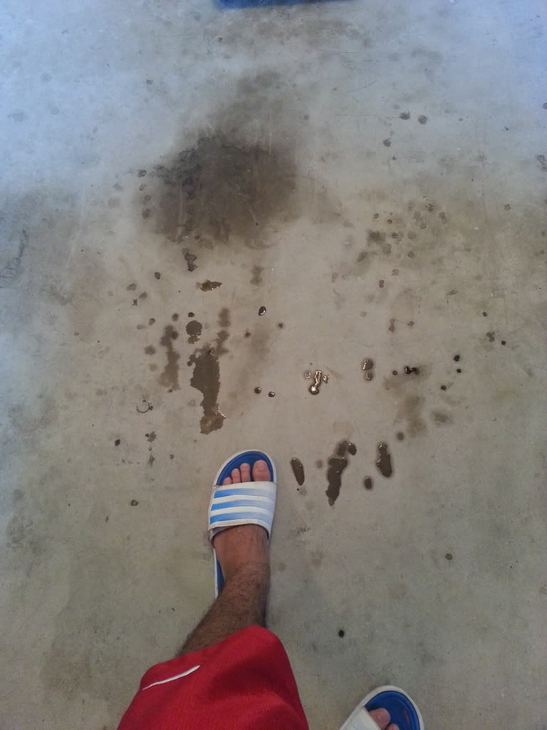 Name:  20130830_185503_zps7032372d.jpg
Views: 649
Size:  77.2 KB