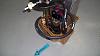 TNT Fuel Starve Eliminator for FD-100_1269.jpg