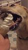 SBG Street BBK - preview/interest thread-beauattacknomz.jpg