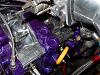 E6X Motonic trigger-picture-141.jpg