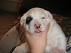 How to make pics bigger?-pict0156.jpg